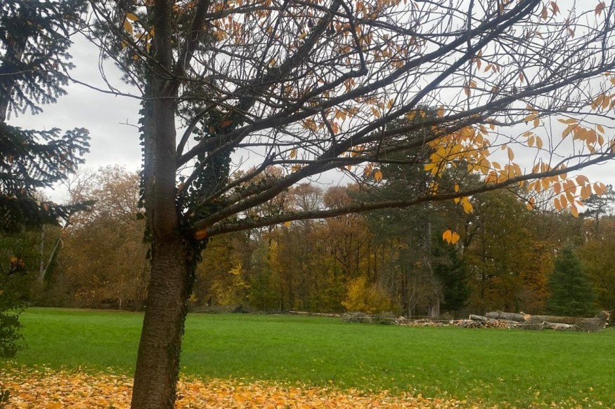 Pensée du 8 novembre 2025