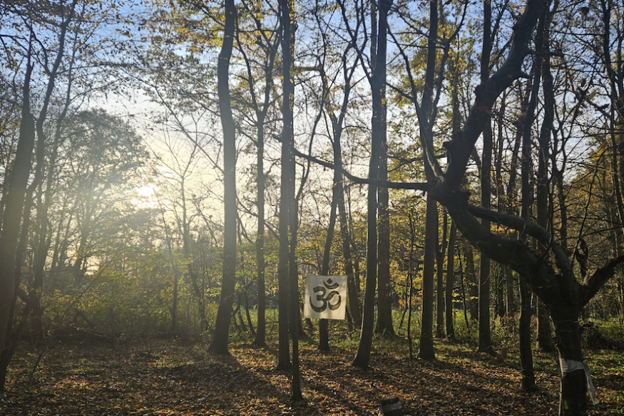 Pensée du 17 novembre 2025