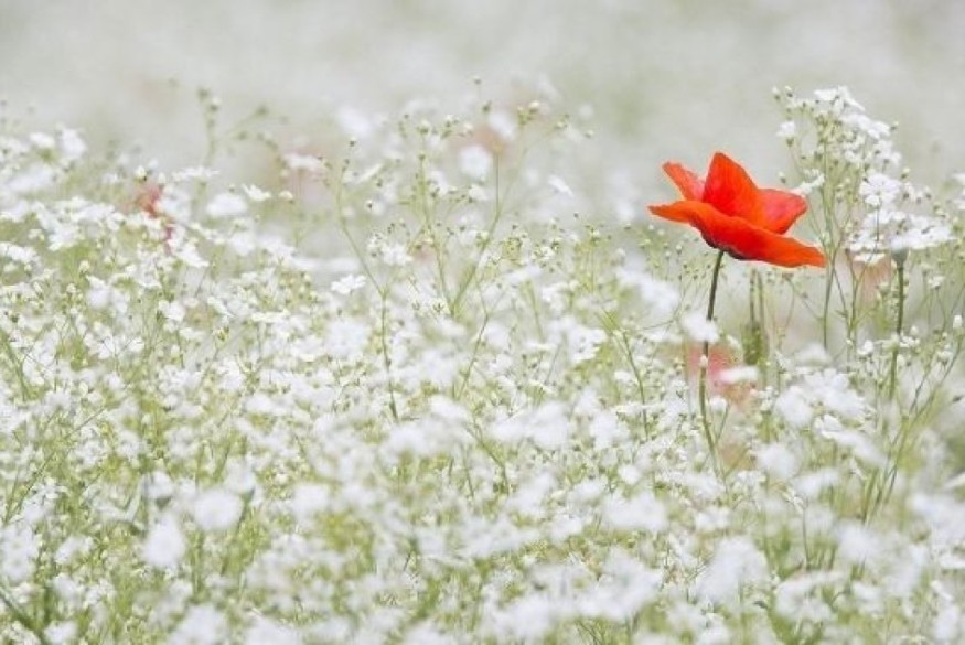Pensée du 23 avril 2026